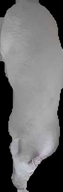 Crop