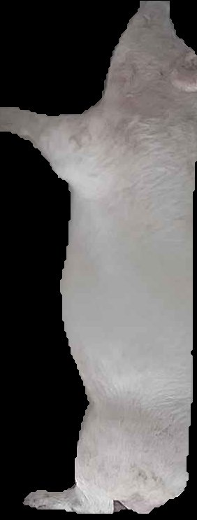 Crop