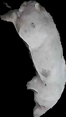 Crop