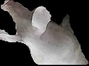 Crop