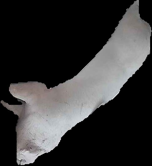 Crop