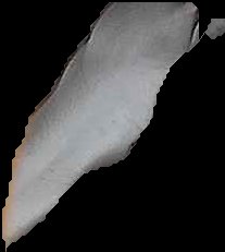 Crop