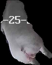 Crop