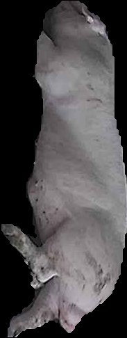 Crop