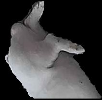 Crop