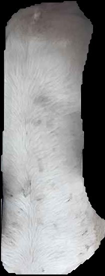 Crop