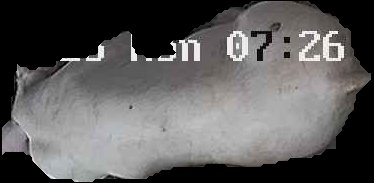Crop