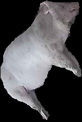 Crop