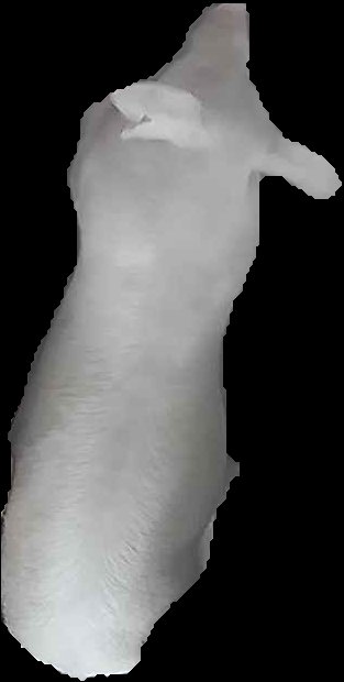 Crop