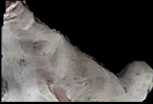 Crop