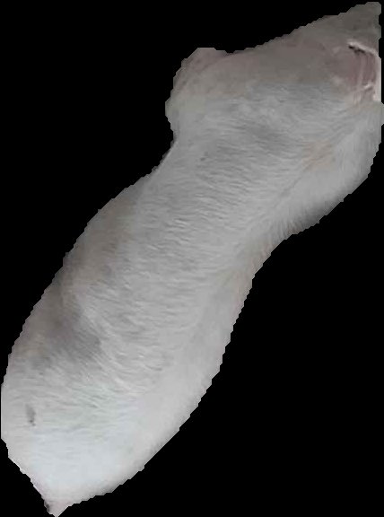 Crop
