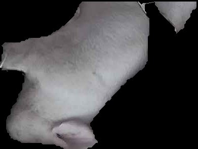 Crop