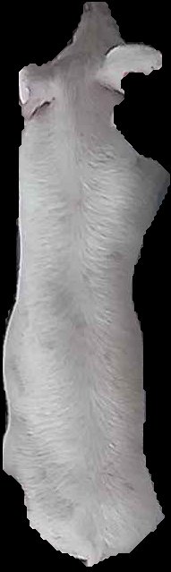 Crop
