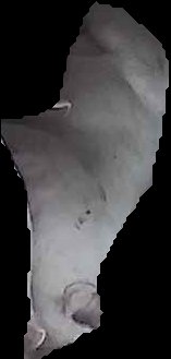 Crop