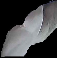 Crop