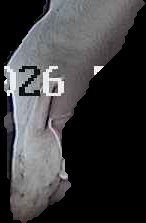 Crop