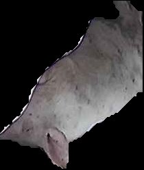 Crop