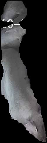 Crop