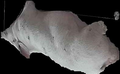 Crop