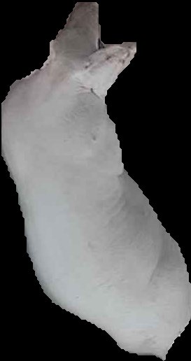 Crop