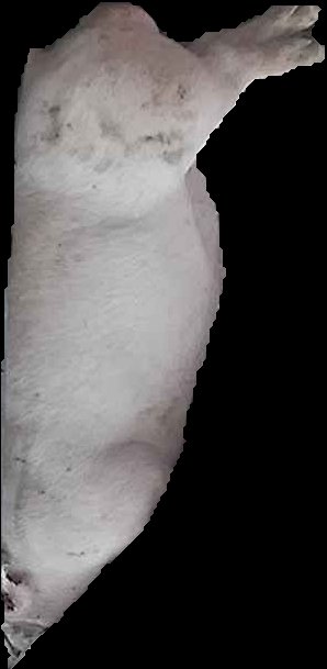 Crop