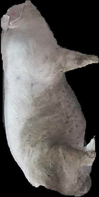 Crop