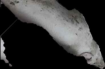 Crop