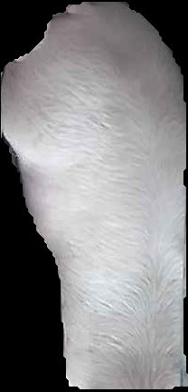 Crop