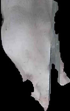 Crop