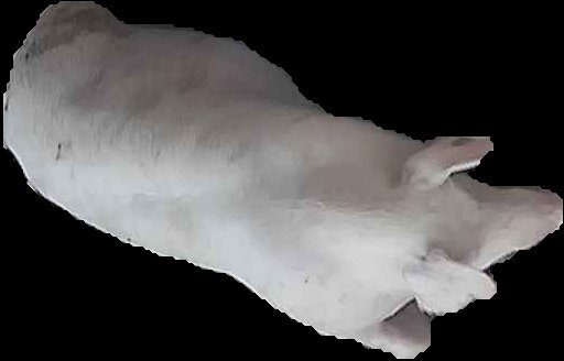 Crop