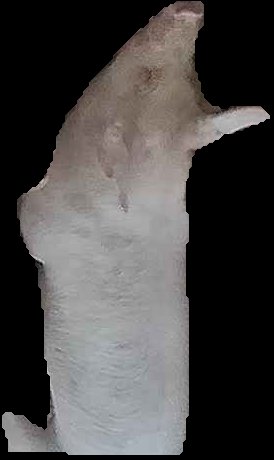 Crop