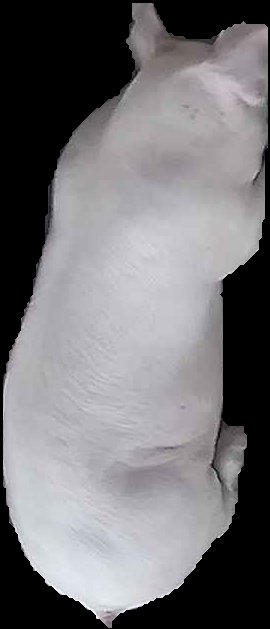 Crop