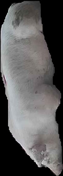 Crop