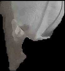 Crop