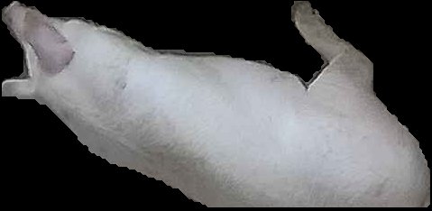 Crop