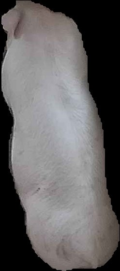 Crop