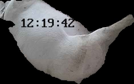 Crop