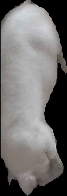 Crop