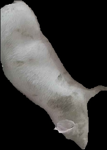 Crop