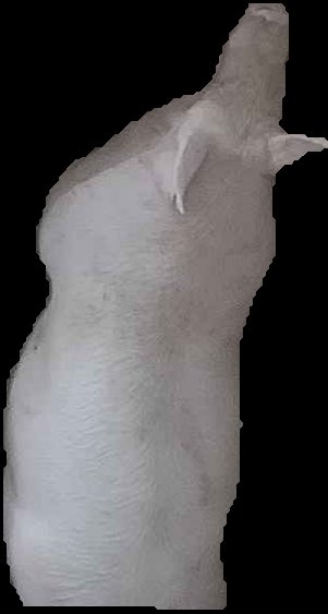 Crop