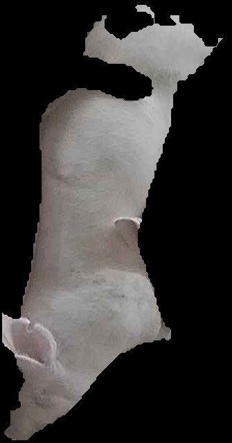 Crop