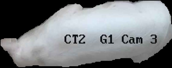 Crop