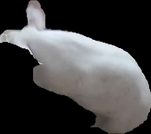 Crop