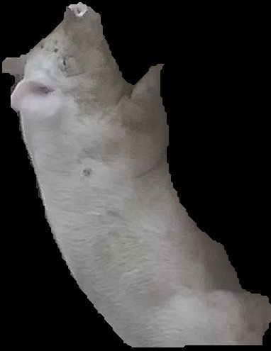 Crop