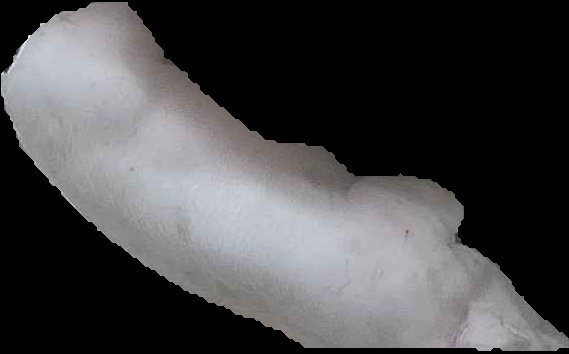 Crop