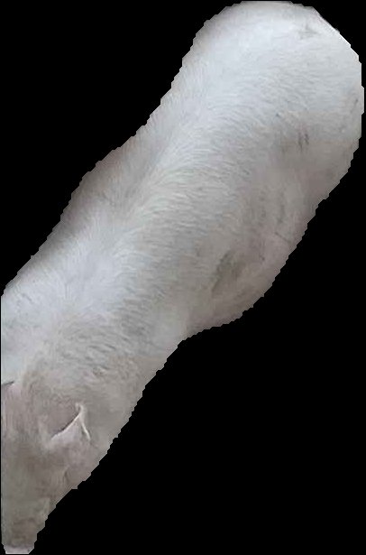 Crop