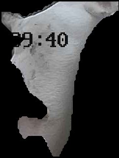 Crop