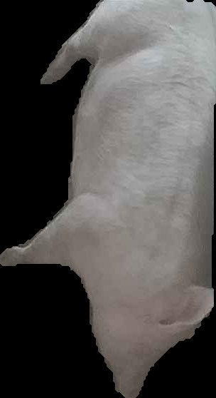 Crop
