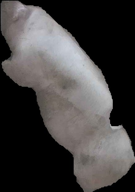 Crop