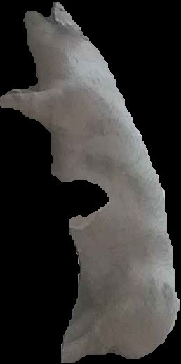 Crop